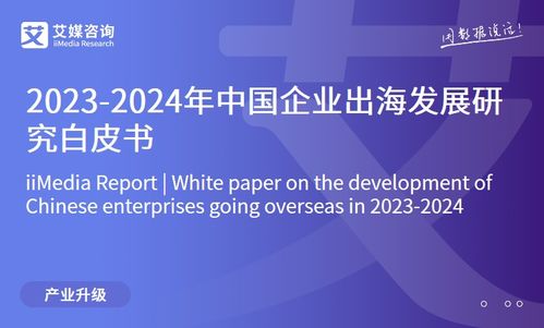 2023年中國互聯(lián)網(wǎng)家居售后服務市場研究報告 信息技術咨詢服務的角色與前景
