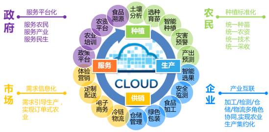 融合創(chuàng)新，智慧賦能 遠光移動互聯(lián)如何以信息技術咨詢服務驅(qū)動“互聯(lián)網(wǎng)+農(nóng)業(yè)”落地